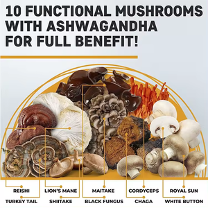 Wholesale Price <strong>Functional</strong> Mushroom Gummies Organic Natural Mushroom Gummies <strong>Brain</strong> Memory Gummies - Product Image 5