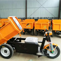 Tricycle électrique robuste de haute qualité, moto électrique à trois roues, mini-dumper de transport de marchandises