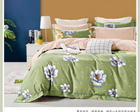 Nouvelle Housse de Couette en Coton Imprimé, Petit MOQ, Ensembles de Couette en Coton Imprimé, Parures de Lit Imprimées avec Taie d'Oreiller