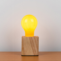 Hoge Kwaliteit Muggenmoordenaar Lamp E26 E27 B22 E12 E14 Muggenwerend Licht Anti Insect Energiebesparing Led Gloeilamp