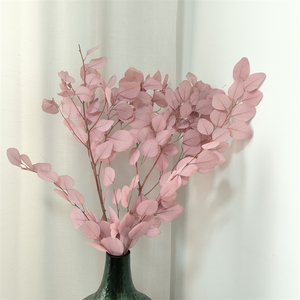 Feuilles d'<span class=keywords><strong>eucalyptus</strong></span> séchées et blanchies naturellement, branches d'<span class=keywords><strong>eucalyptus</strong></span> séchées et préservées au toucher réel, <span class=keywords><strong>guirlande</strong></span> d'<span class=keywords><strong>eucalyptus</strong></span> verte - Product Image 6