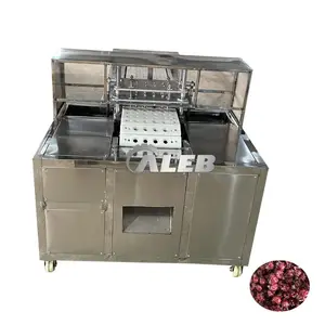 Machine automatique de dénoyautage d'hibiscus Électrique Abricot Avocat Prune Cerise Prune Olive Pêche Mini Dry Date Carottage Pitter