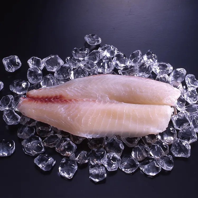 2-4 oz Tilapia Fillet Frozen Tilapia Fillet Seafood Fish Fillet From Gaishi