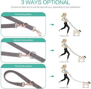 Personalizzata In Oro Rosa Fibbia In Metallo Tweed guinzaglio Del Cane con il collare di Corrispondenza, fatto a mano di Cacca di Cane Supporto del Sacchetto Oro Rosa in <span class=keywords><strong>tessuto</strong></span> tweed - Product Image 5