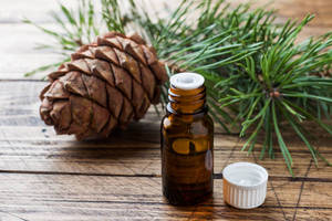 Natural Pine Oil for Cosmetic Manufacturing and <b>Personal</b> Care Applications High Purity Botanical Oil for Skincare Hair Oils - Product Image 5