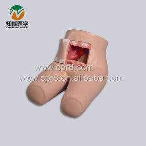 H35 Mannequin de formation en sciences médicales avancées Conception réaliste École de médecine de <span class=keywords><strong>d</strong></span>éfécation assistée par lavement de précision - Product Image 2