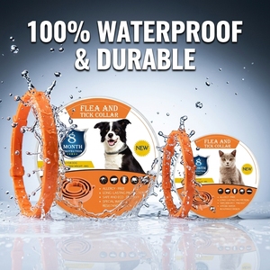<span class=keywords><strong>Collier</strong></span> <span class=keywords><strong>anti</strong></span>-puces et tiques pour chien, marque privée OEM, réglable, lavable, <span class=keywords><strong>anti</strong></span>-parasites, pour <span class=keywords><strong>chat</strong></span> et chien - Product Image 2
