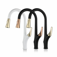 Robinet de cuisine en laiton avec douchette extractible, design contemporain, couleur personnalisable et installation sur plan de travail
