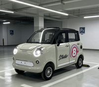 Mini voiture électrique 4 places à basse vitesse, 1000W, 4 roues, batterie au plomb 60V58a, dimensions 2.80*1.35*1.65m, vente en gros Chine, prix compétitif
