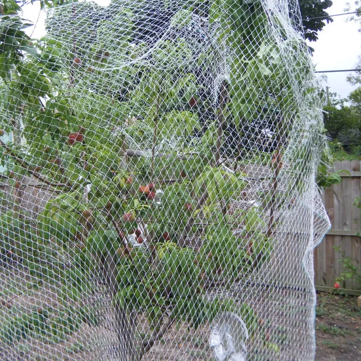 Hdpe pájaro RED DE agritultural de malla para los árboles de frutas proteger