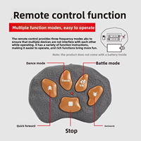 Juguete de Dinosaurio Caminante en Oferta con Luz Musical, Control Remoto, Modelo de Dinosaurio, Juguete de Control Remoto, Juguetes de Animales