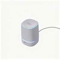 Humidificateur aromatique WEIYE WY-118, diffuseur d'huiles essentielles de 150 ml avec lumière LED à 7 couleurs, brume continue et intermittente pour usage domestique