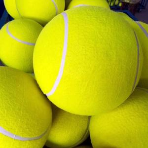 <span class=keywords><strong>Rubber</strong></span> cepet toptan özel Logo gıcırtılı köpek tenis topu açık Pet oyuncak kauçuk orijinal üretici yapılmış köpek çiğneme oyuncakları - Product Image 3