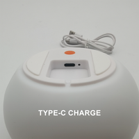 Lampe tactile rechargeable usb mignonne de Noël en silicone pour lit d'enfant lampes bébé en silicone chat veilleuse à led