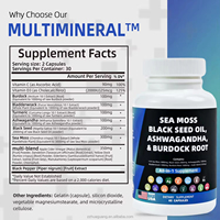 Capsules de mousse marine multiminérales OEM, Ashwagandha, racine de bardane pour le soutien immunitaire et digestif, 60 capsules végétales