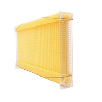 14 PCS Auto Run Beehive Frame Super BOX Seep Honey Comb Frames pour Beehive House Apiculture