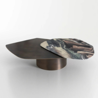 Table basse personnalisée en métal doré, acier inoxydable, moderne, faite à la main, écologique, durable, multifonctionnelle, luxe, salon