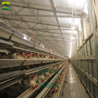 Great Farm Cage pour poulet en batterie automatique Nouvelle cage pour poulet de ferme avicole galvanisée à chaud de type A