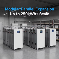 Batterie solaire 16 kWh 51,2 V LiFePO4, pack de batteries au lithium sur roues 314 Ah haute capacité pour stockage domestique et réseau hybride