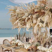 Bunga Acara, Gapura Bunga, Centerpiece Bunga Pampas, Bunga Kering untuk Dekorasi Pernikahan