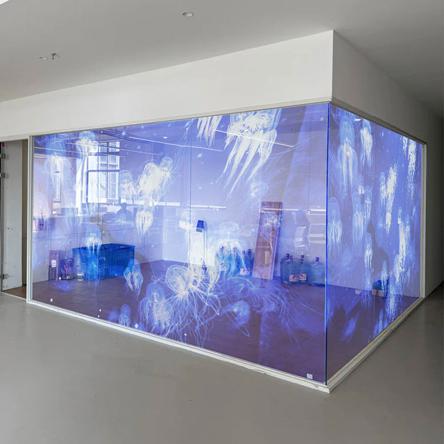 Transparent LED Display Screen, High-definition Glass Advertising Video Wall, Electronic Display Window Screen
