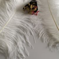 Nouvelles plumes d'autruche blanches teintes originales en gros, 60-65 cm, pour robe de cocktail de luxe, décoration de mariage à domicile, fabrication de bricolage