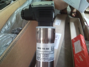 Electrodo de Nivel de Agua para Calderas GESTRA NRG 16-50, Sensor de Nivel de Vapor - Product Image 6