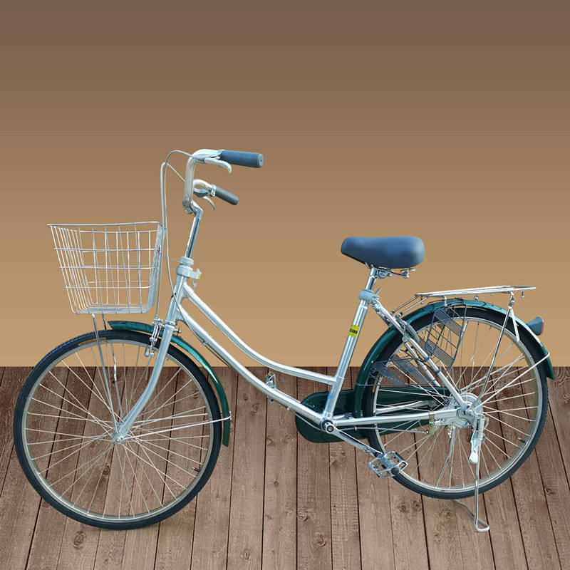 Vintage Japanese Bike Classic Style City Ride