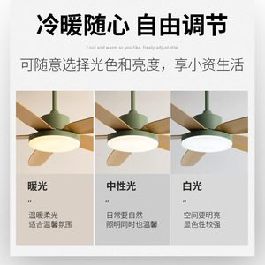 <b>Ceiling</b> <b>Fan</b> Light 56 Inch Nordic Minimalist Style LED Inverter Silent <b>Fan</b> For Living Room And Study - Product Image 3