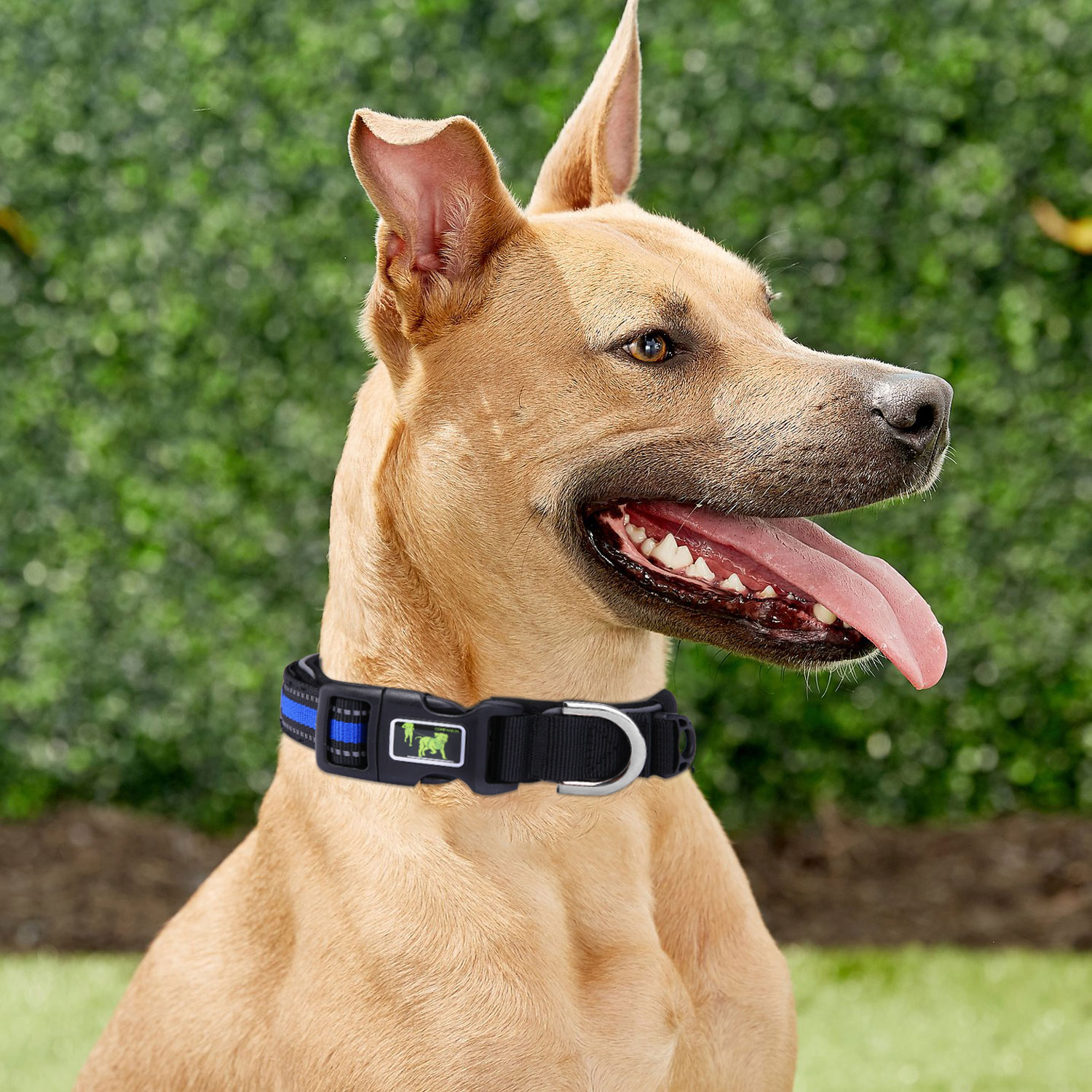 Personalized Large Dog Collars Leashes Strong Wear Resistant