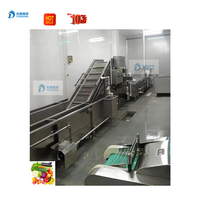 Complete Automatische Bevroren Verwerkingsmachines Voor Fruit En Groenten Desinfecterende Fruittrymachine