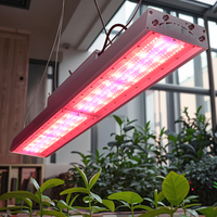 Lampe de culture LED à spectre complet IP66 pour la croissance des plantes hydroponiques, lampes de culture à spectre complet, lampe de croissance des plantes à intensité variable