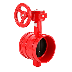 Hierro Fundido Rojo Resistente al Fuego G381X - Apto para Sistemas Contra Incendios - Product Image 4