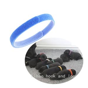 Venta al por mayor de <span class=keywords><strong>collar</strong></span> de identificación de perro personalizado respetuoso con el medio ambiente ajustable suave mascota gato correa para el cuello con la característica autoadhesiva - Product Image 5