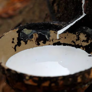 Latex HA au meilleur prix: le caoutchouc naturel de haute qualité de Baiyue, avec 60% DRC, est parfait pour vos besoins en matière de chaussures, de gants et d'adhésifs. - Product Image 1