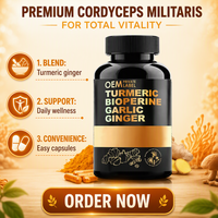 Ausreson OEM Gélules d'extrait de curcuma et de curcumine, antioxydant, soutien immunitaire, marque privée, 500mg de curcumine par gélule