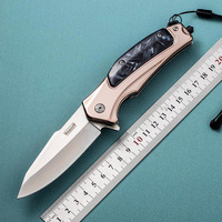 Couteau de poche pliable DA155 à lame en acier inoxydable, avec manche en acier inoxydable et résine, idéal pour le camping en plein air