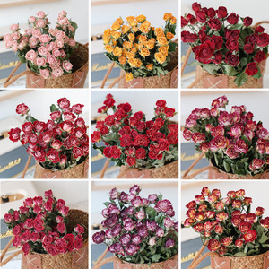 Branches de fleurs naturelles séchées multi-têtes en forme de diamant, mini-roses séchées à l'air, vraies fleurs Rosa Multiflora pour arrangements floraux, bouquets et vases - Product Image 2