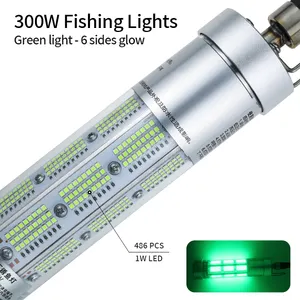 Squid Hot Sell 6M Wire 12V DC 300W IP68 Waterproof Boat Underwater Green Lights Led Fishing Light Squid