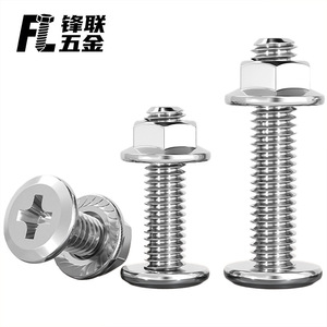 Ensemble de vis et d'écrous en acier inoxydable Fenglian 304 M6 M8 à tête Phillips chanfreinée, résistant à la rouille, qualité A - Product Image 2