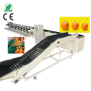 Automatic orange potato tomato sorting machine fruit apple orange pear bluecherry grader classifier