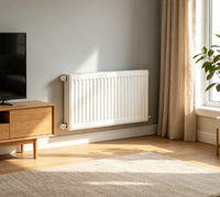 Radiateur de chauffage hydronique de haute qualité 22K, radiateur de chauffage horizontal OEM pour systèmes CVC, utilisé dans les hôpitaux et les écoles