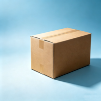 Caja de Envío Corrugada Sin Adornos TongKun, Acepta Impresión de Logotipo Personalizado para la Industria Logística Moderna
