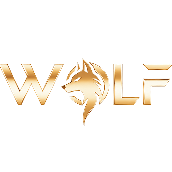 Wuhu Wolf Technology Co., Ltd logo
