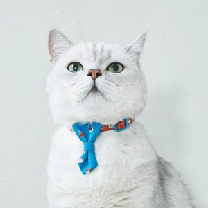 Gran oferta, nuevo estilo de diseño, diseño personalizado, hebilla de seguridad, cinturón de separación, campana, collar para mascotas, collar para gatos - Product Image 3