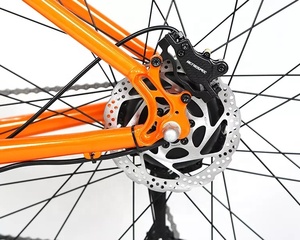 Vélo électrique GALAXY à cadre en alliage d'aluminium <span class=keywords><strong>le</strong></span> <span class=keywords><strong>plus</strong></span> populaire vélo électrique gravel 10 vitesses vélo électrique de ville - Product Image 3