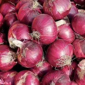 Tươi Bán Buôn Đỏ Hành Tây Giá Rẻ Giá Xuất Khẩu Nhập Khẩu Hữu Cơ Tươi Trắng Vàng Hành Tây Nhà Cung Cấp Trung Quốc Nhà Máy - Product Image 1