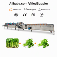Ananas productielijn 3000kg/u schil- en reinigingsmachine voor ananas, passievrucht, banaan, sinaasappel