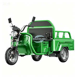 Safe Stable Electric Trike Light Weight Easy Control Heavy Load Practical Transport Car - Product Image 2