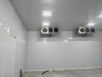 Almacén de Refrigeración Industrial Portátil, Eficiente, Duradero y de Bajo Consumo Energético para Frutas y Verduras